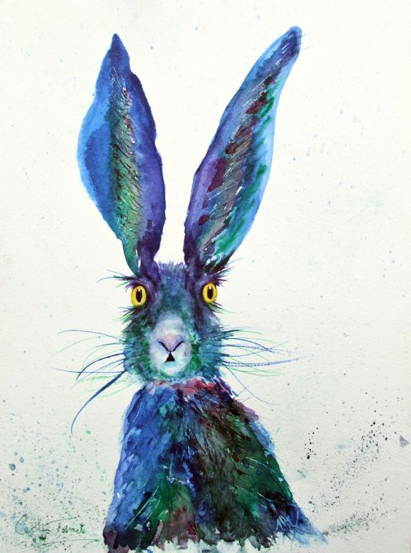 Blue rinsed hare...